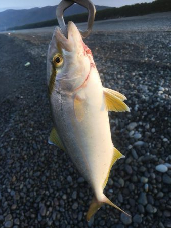 いつものサーフ