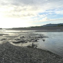 吉野川は、最高だー！