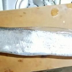 今年最後のドラゴン！？