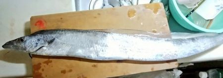 今年最後のドラゴン！？