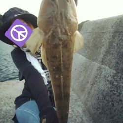 青物狙いでマゴチ！