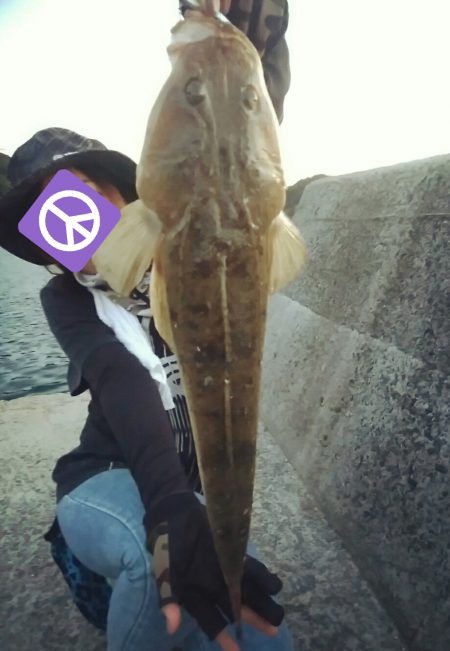 青物狙いでマゴチ！