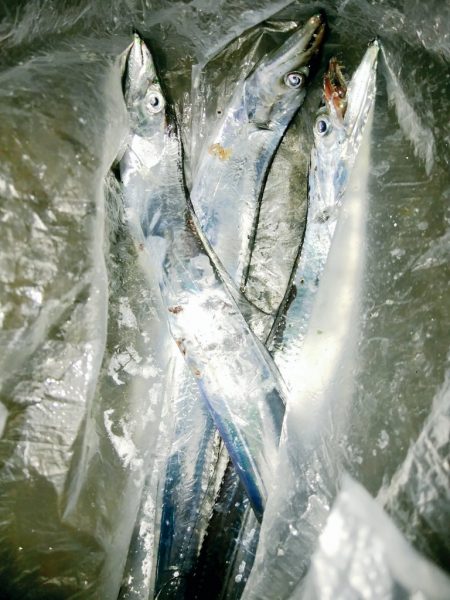 新子がきた～～！