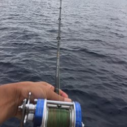 暑い中　ジギング　タイラバ