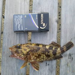 涼しくなったら