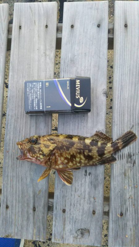 涼しくなったら