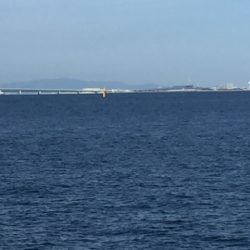 今期 初タチウオ‼️