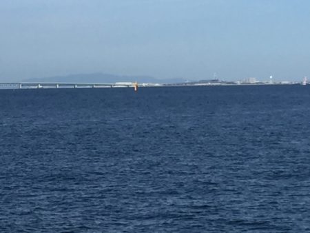 今期 初タチウオ‼️