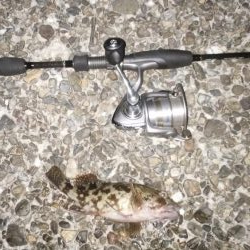 ナイトガツシー