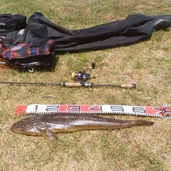 マゴチハンティング