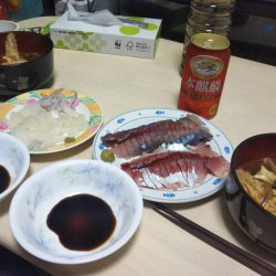 短時間大サバ連発