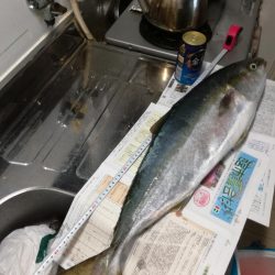 メジロきました！