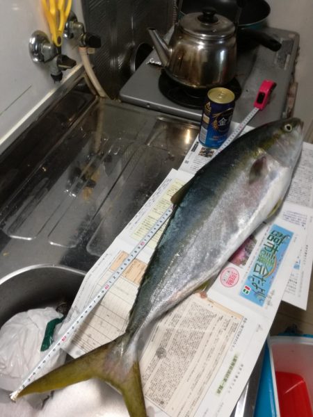 メジロきました！