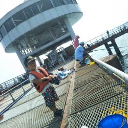須磨海釣り公園、潮が速くて苦戦