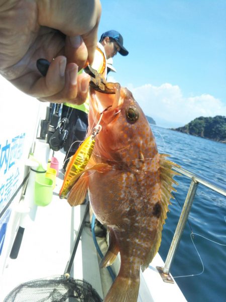 松山沖だんだん丸で鯛ラバ