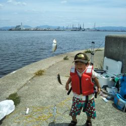 渡船で南港沖波止サビキ絶好調