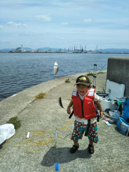 渡船で南港沖波止サビキ絶好調