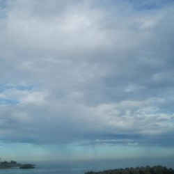 アオリイカ　胴長10センチ確認！