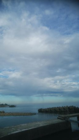 アオリイカ　胴長10センチ確認！