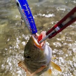 強風でも強行リーフエリア