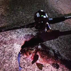 ロックフィッシュ！