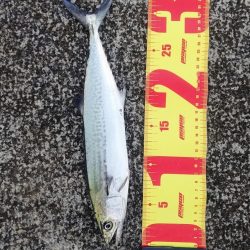 久々にお気に入りの場所で…