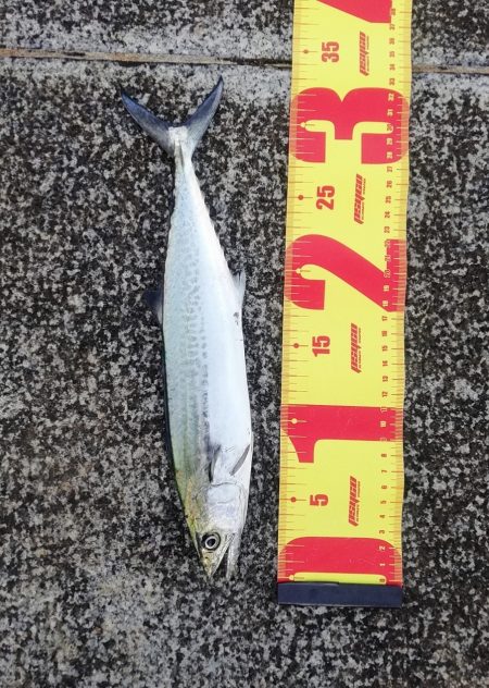 久々にお気に入りの場所で…