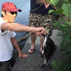 久々のチヌにたにもっさん。歓喜する