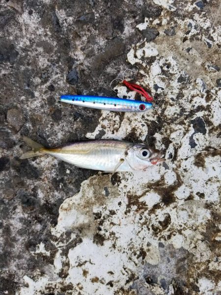 初めての釣り公園