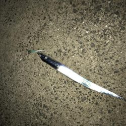 チャイチー連発