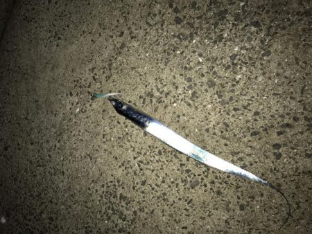 チャイチー連発