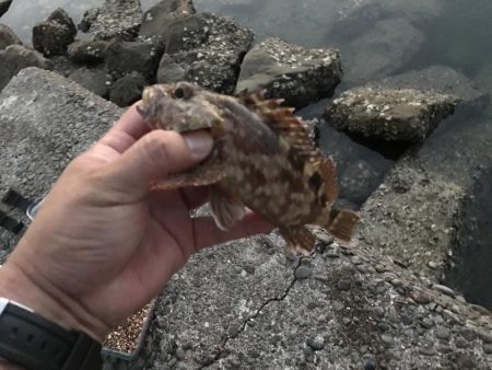 暑い夜には青流し！