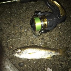 朝練メッキ&おまけ