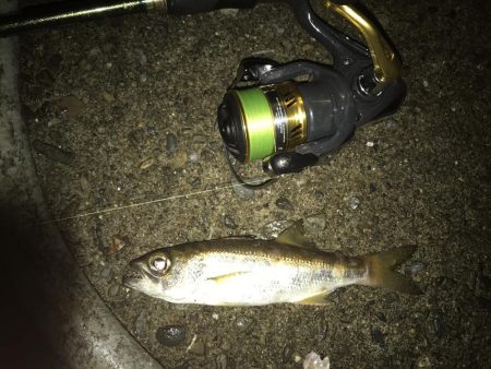 朝練メッキ&おまけ