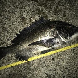 青流して自己記録更新！