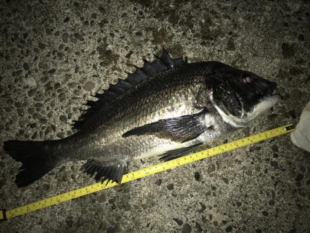 青流して自己記録更新！