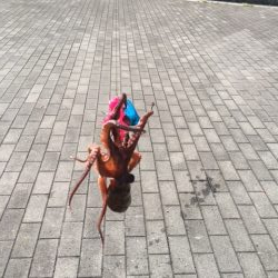 終盤タコまだいける