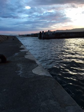 昼はだめ　夕まずめは入れ食い