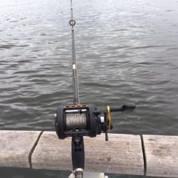 コスモタコ終了？