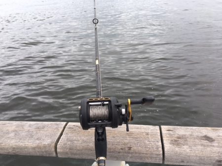 コスモタコ終了？