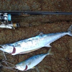 ひったくられた