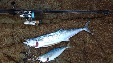 ひったくられた