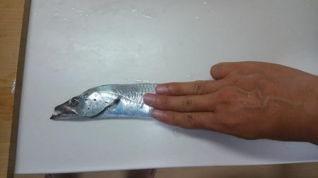 夕涼みワインド