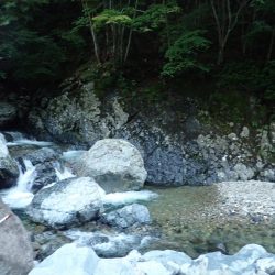 揖保川渓流釣り