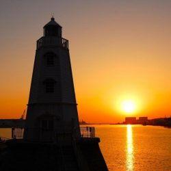 旧堺港でチニング