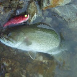 台風明けでした