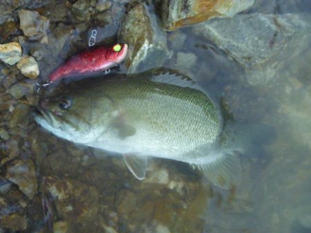 台風明けでした