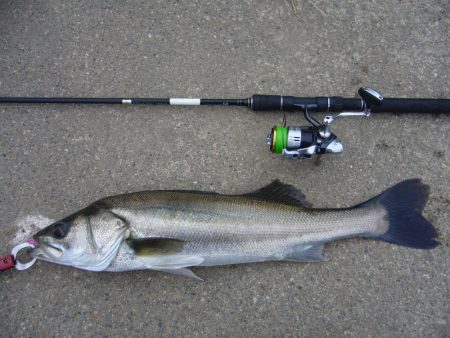 夕暮れ時短時間勝負！