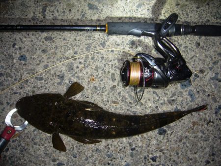 チニングの外道