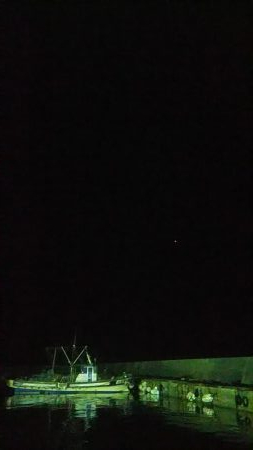 ケンサキイカ初ゲット